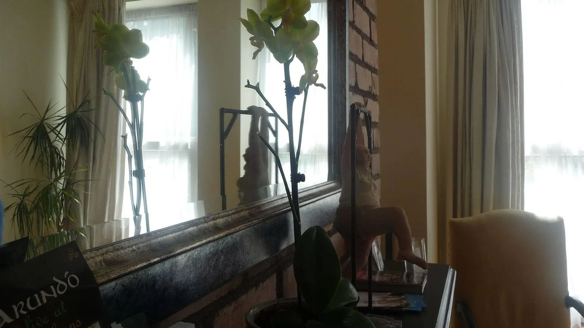 Guest house Crawford House- Scholarlee Living Apartments Cork